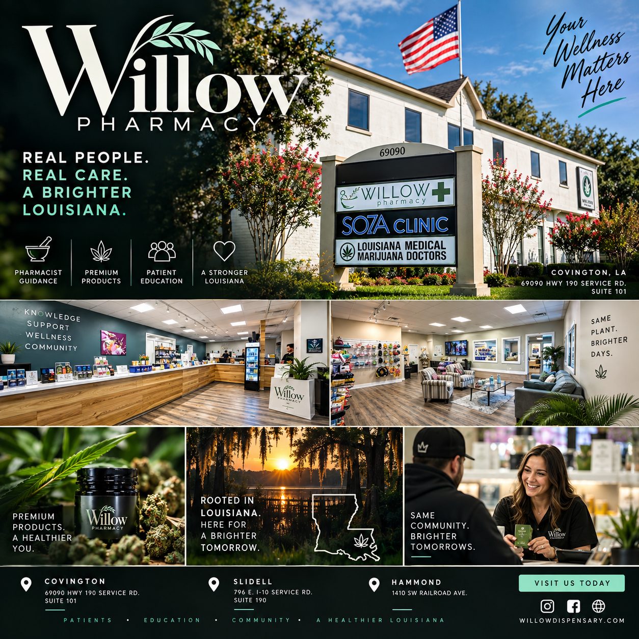 Willow Pharmacy campaign artwork